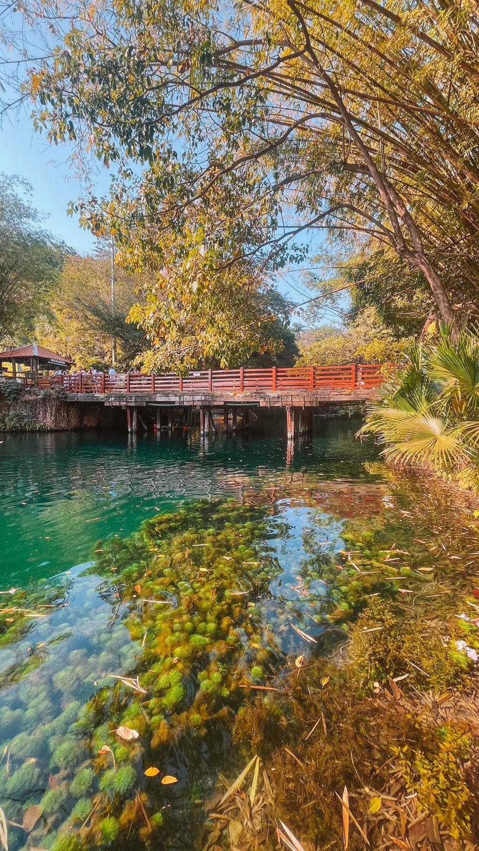 Roteiro Hot Park Crian As Dicas E Tudo Que Voc Precisa Saber Antes De Ir