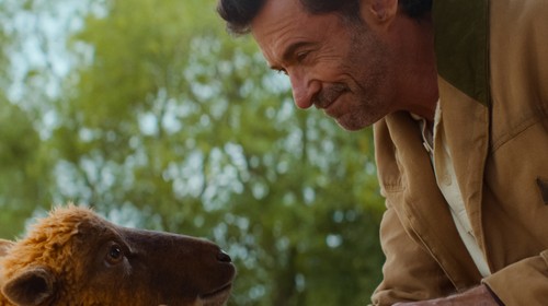 “As Ovelhas Detetives”: Hugh Jackman e Julia Louis-Dreyfus revelam desafios das filmagens 