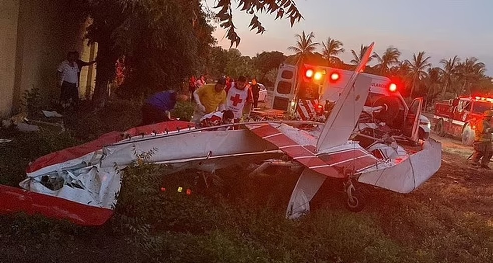 Fotos do avião após a queda viralizaram nas redes sociais — Foto: Reprodução Twitter