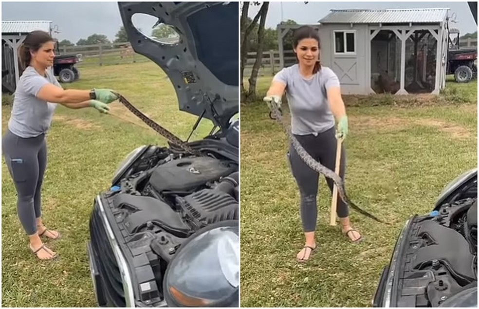 Nicole Graham não hesitou ao retirar cobra do carro da filha — Foto: Reprodução Instagram