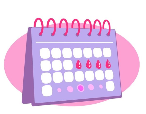 Calendário menstrual (tabelinha): entenda seu período fértil!
