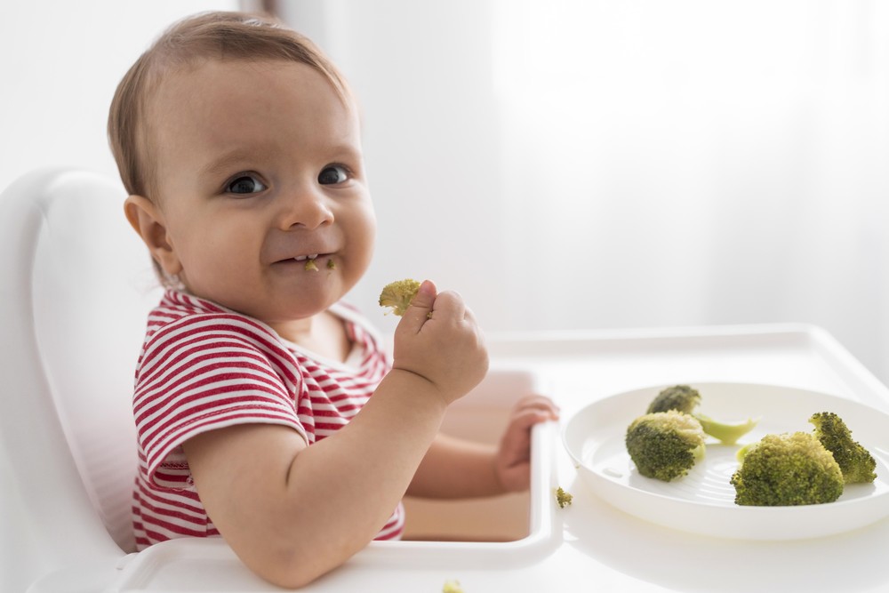 Pode usar sal na comida do bebê?