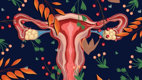 O que é ovulação e como ela acontece no corpo feminino?