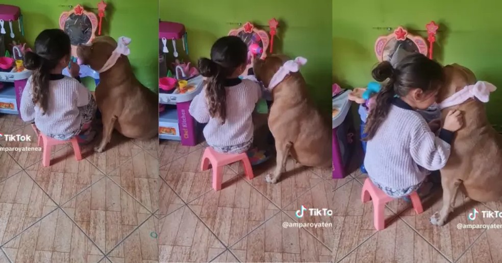 Cachorra é maquiada por criança — Foto: Reprodução Exitosa Noticias