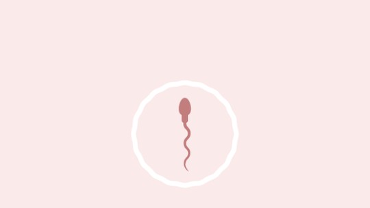 Calculadora de fertilidade e ovulação