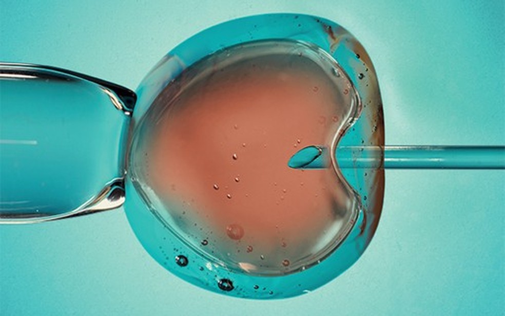 Na Inglaterra, jovens que foram fruto de ovodoação, doação de esperma ou de embriões poderão conhecer pais biológicos — Foto: Crescer
