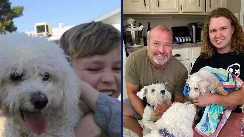 Família ficou feliz por reencontrar seu cachorro que se perdeu há 12 anos — Foto: Reprodução Mirror/Facebook