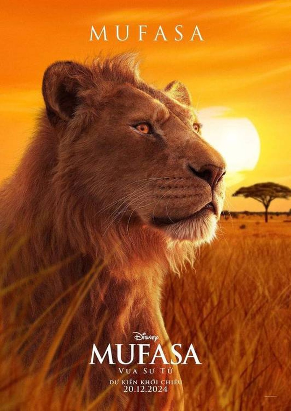'Mufasa: O Rei Leão': conheça os personagens do filme