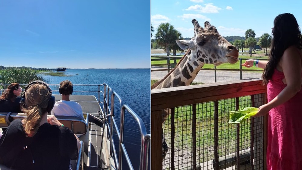 7 passeios em Orlando para sair da rota dos parques da Disney e Universal