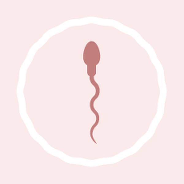 Calculadora de fertilidade e ovulação