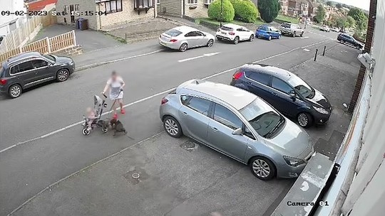 Vídeo mostra momento angustiante em que mãe tenta proteger bebê e pet que são atacados por outro cachorro