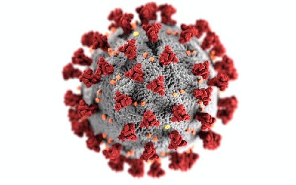 Vírus SARS-CoV-2 — Foto: Crescer