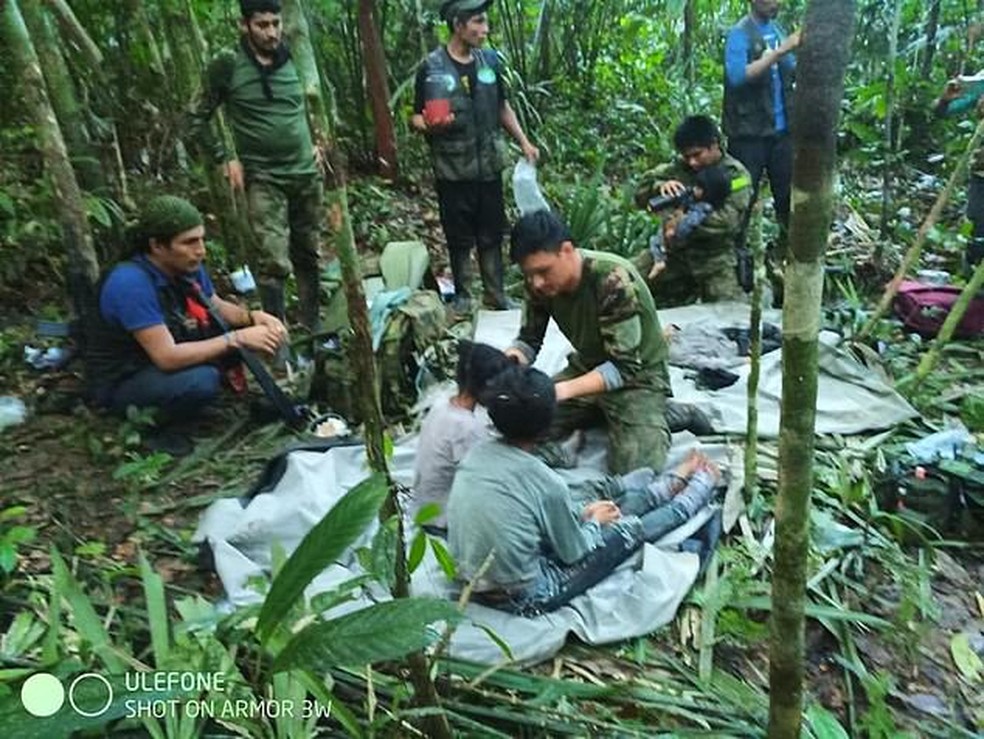 Confira 8 dicas de sobrevivência na Floresta Amazônica - Portal