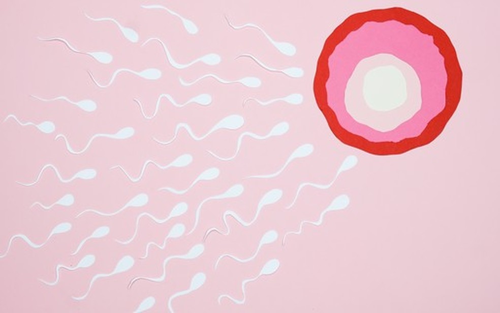Ilustração de óvulo e espermatozoides  — Foto: Crescer