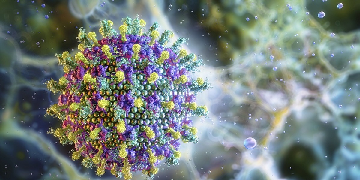 Vírus Nipah: “Risco de uma pandemia é baixo”, diz Ministério da Saúde  