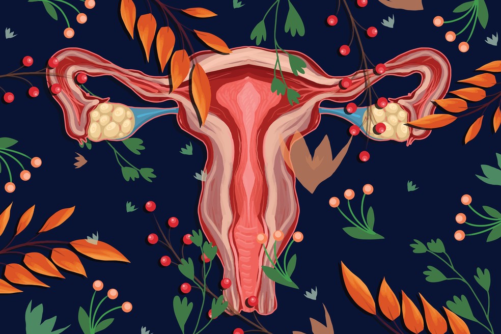 Ovulação e o aparelho reprodutor feminino — Foto: Getty Images