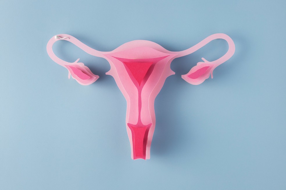 A progesterona é produzida no ovário — Foto: Freepik