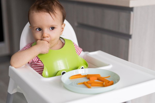 Cadeira de alimentação facilita nas refeições do bebê: veja 8 opções -  Revista Crescer