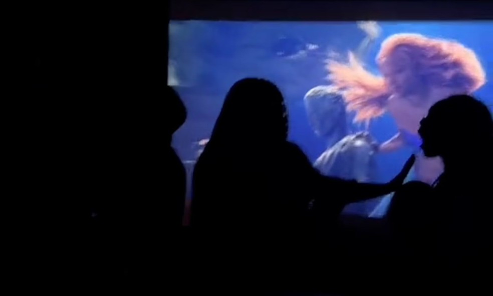 Briga de adultos durante a exibição do filme A pequena sereia — Foto: Reprodução Daily Mail