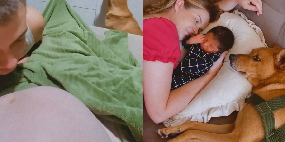 Cachorro sente ciúmes de tutora grávida, mas reação ao ver o bebê surpreende