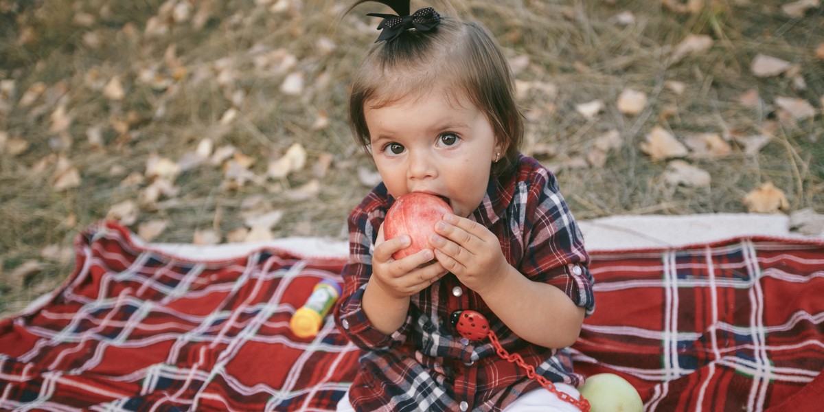 Como montar uma lancheira prática, nutritiva e segura para qualquer passeio