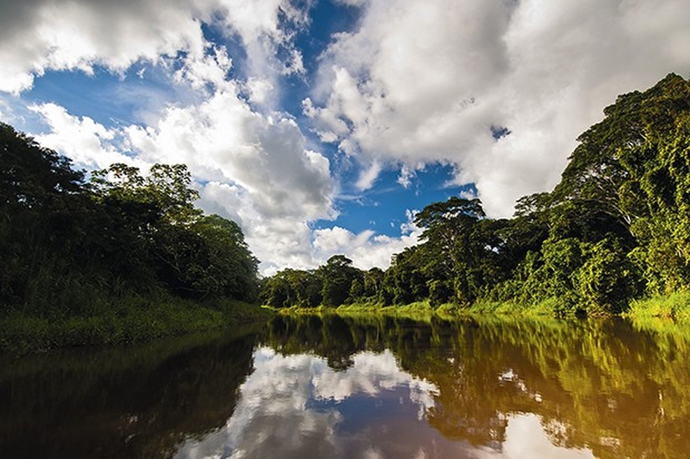 Amazônia (Foto: Todd Gipstein / Getty Images) — Foto: Crescer
