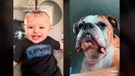 Após perder pet, mãe dá ao filho o mesmo nome de seu cachorro de estimação