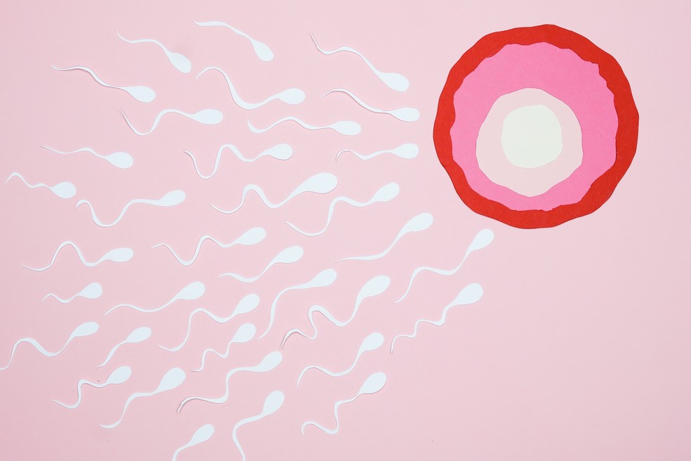 Ilustração de espermatozoides  — Foto: Nadezhda Moryak/Pexels