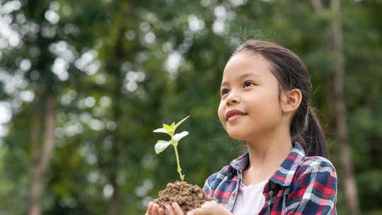 10 passeios para conversar sobre sustentabilidade com as crianças