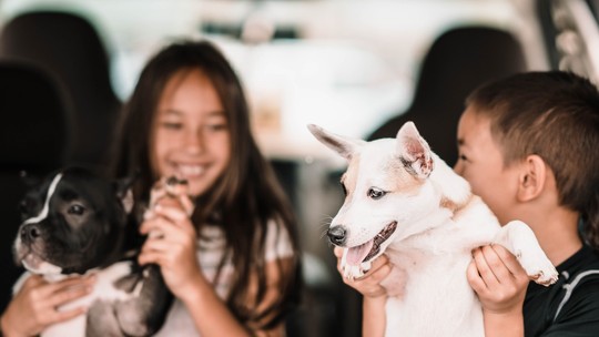 Crianças e cães: 5 dicas para evitar ataques