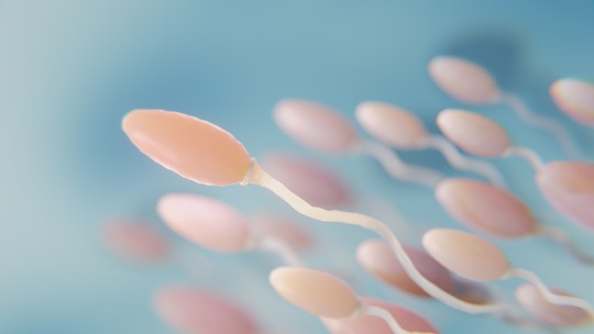 Exame de espermograma: como funciona e o que os resultados podem indicar