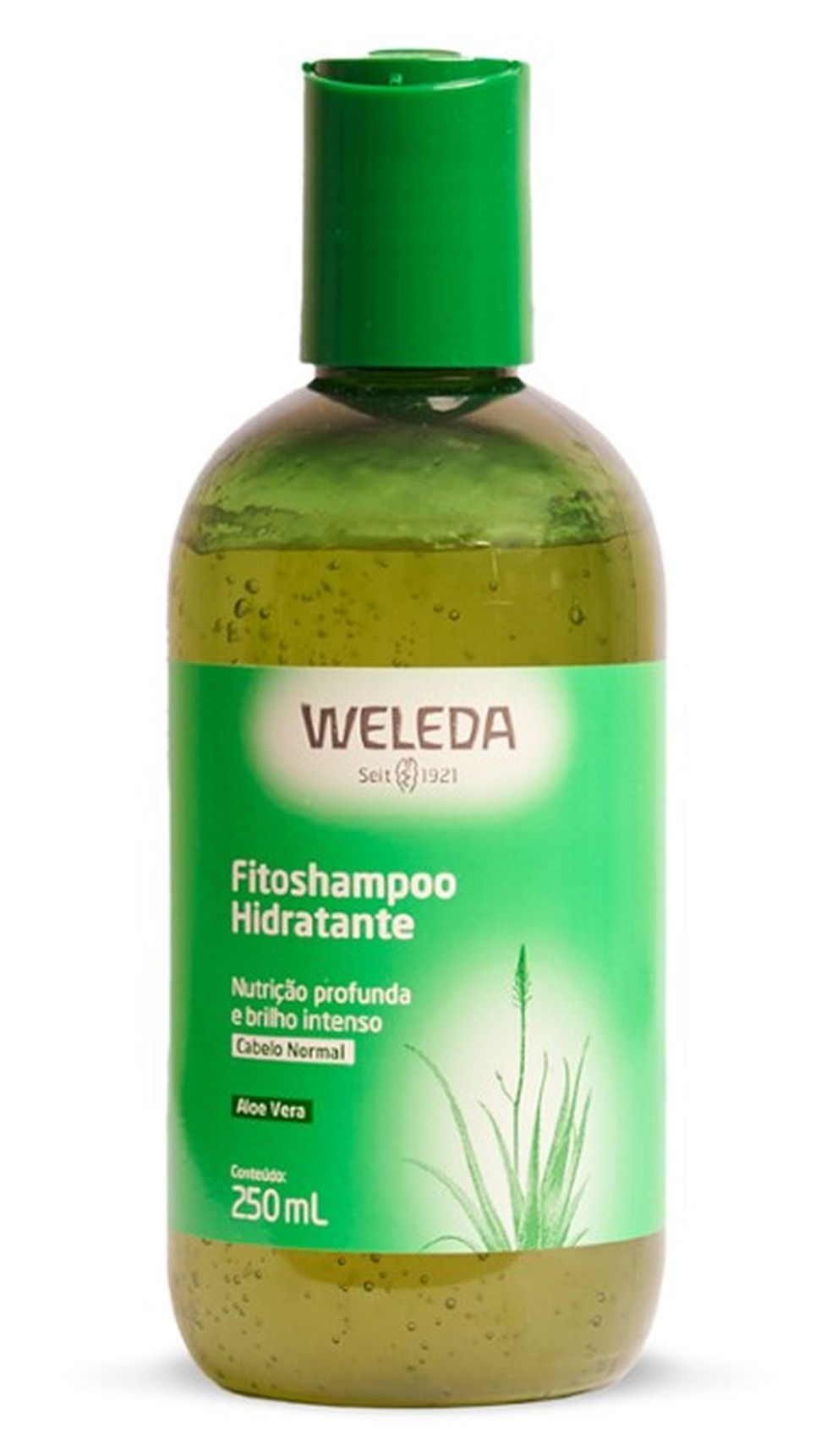 Fitoshampoo Hidratante de Aloe Vera — Foto: Divulgação