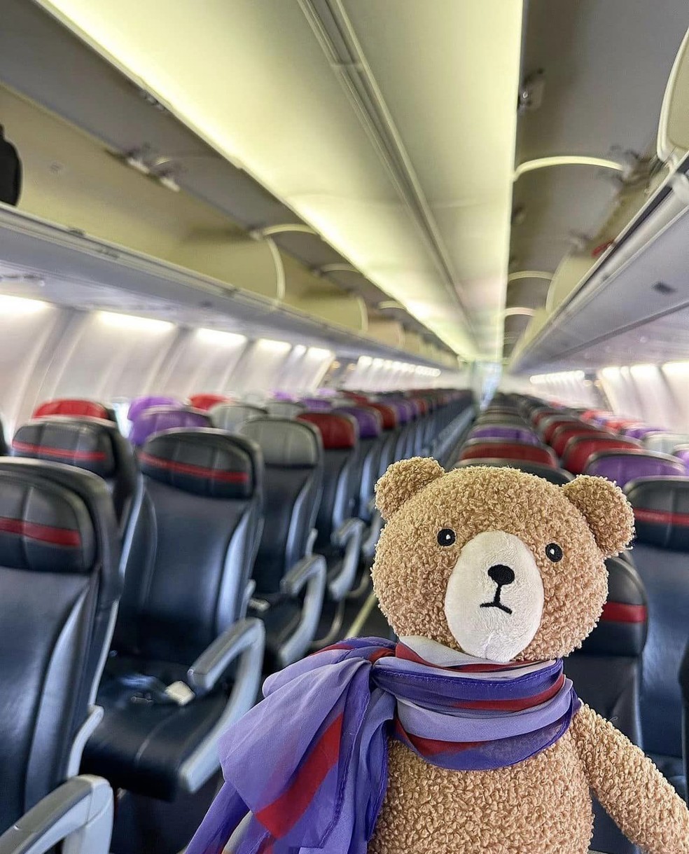 Funcionários da Virgin Australia fizeram uma campanha para encontrar o dono do ursinho esquecido no voo — Foto: Reprodução/Facebook