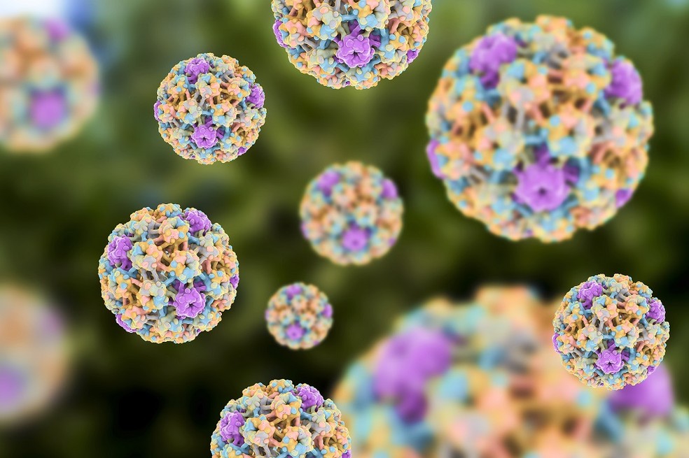 HPV — Foto: Getty Images