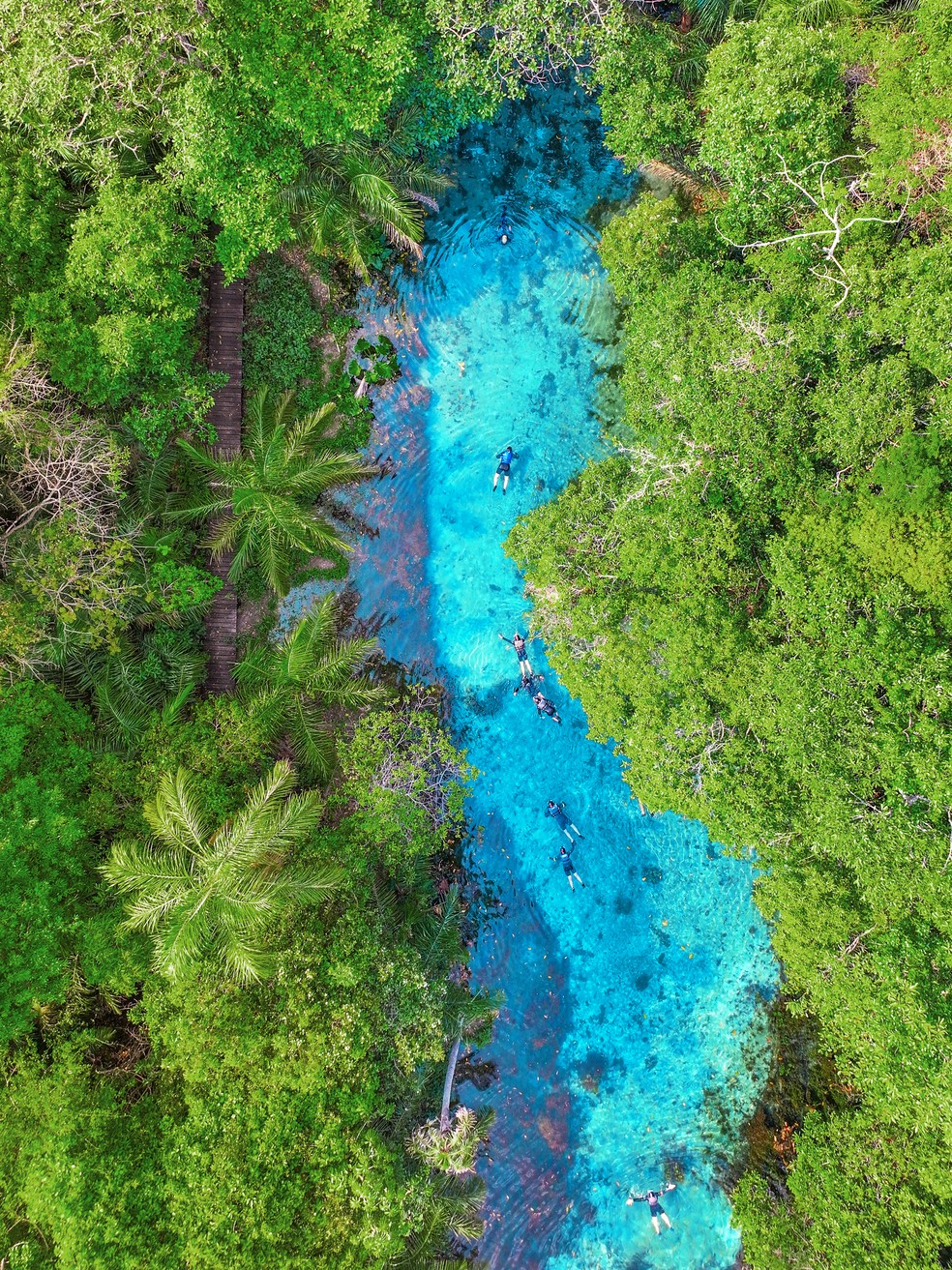 Os visitantes descem o rio flutuando — Foto: Divulgação/Nascente Azul