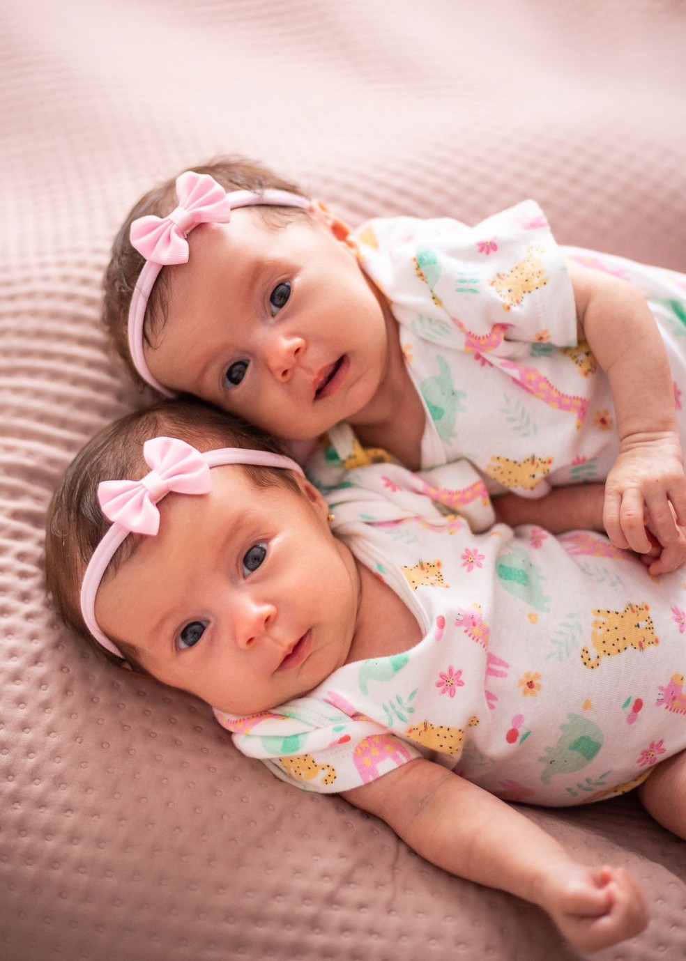 As gêmeas nasceram em dezembro do ano passado — Foto: Arquivo Pessoal 